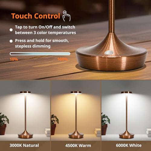 Brown Cordless Table Lamps (2 Count)