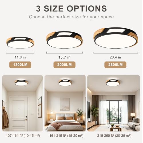Modern LED Ceiling Light