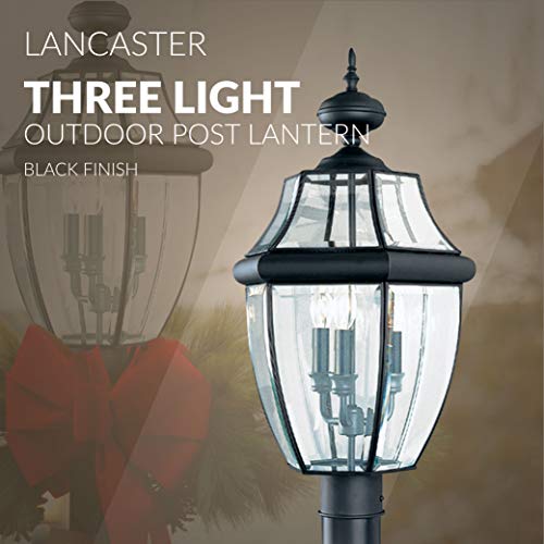 Sea Gull Lighting 8239