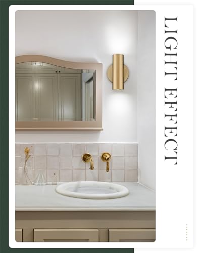 1 Light Wall Sconce