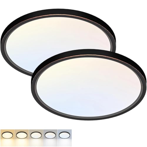 2Pack 12Inch LED Flush Mount Ceiling Light 5 Color Temperatures (2 Count)