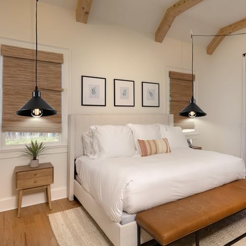 Black Plug in Pendant Light (2 Count)