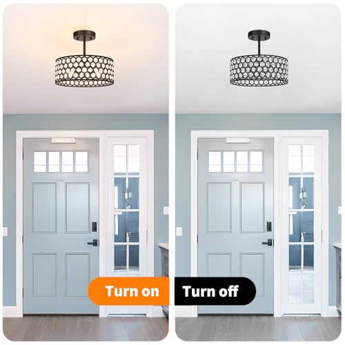 Black Crystal Ceiling Light Fixture