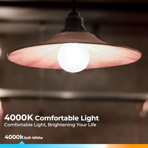 E26 Base G16.5 Edison Globe LED Bulb (6 Count)