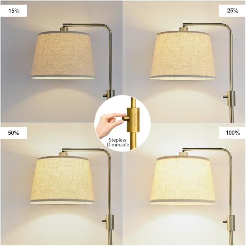 Dimmable Floor Lamp