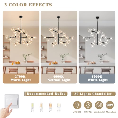Black Sputnik Chandelier