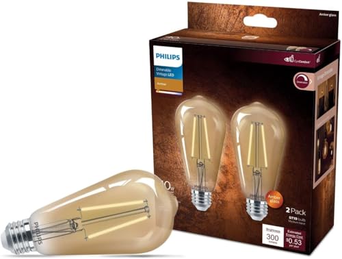 LED 40W ST19 2 (2 Count)