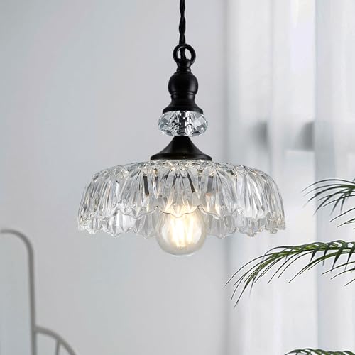Vintage Glass Pendant Light Fixture Black Modern Adjustable Chandelier Hanging Light for Farmhouse Dining Room Kitchen Bedroom Hallway Island