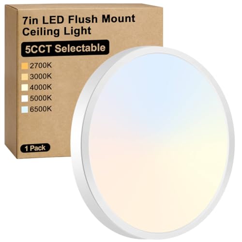 7 Inch LED Flush Mount Ceiling Light Fixture