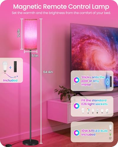 Dimmable Floor Lamp for Living Room with RGB Colors