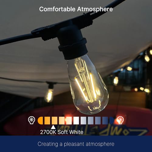 ST19 LED Edison Bulbs for String Lights (12 Count)