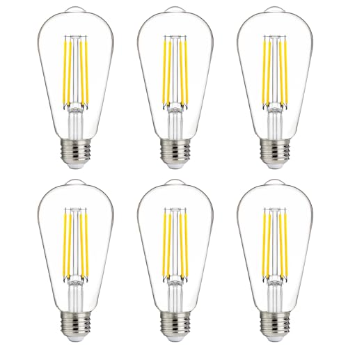 100W Equivalent LED Edison Bulbs (6 Count)