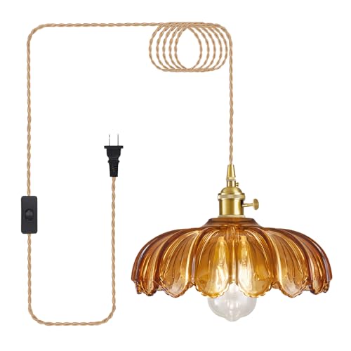 Plug in Pendant Light