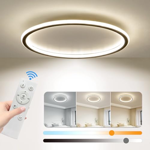 23.6 Inch Flush Mount Ceiling Light
