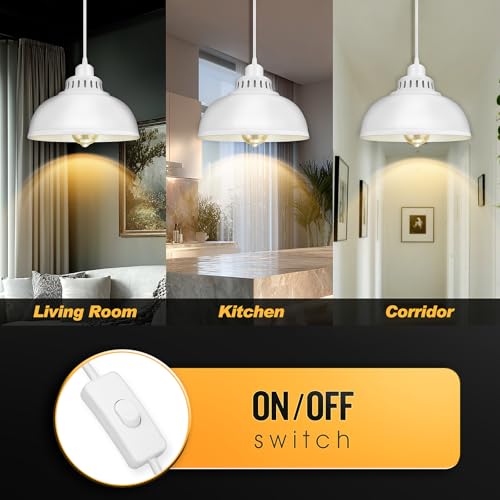 Plug in Pendant Light