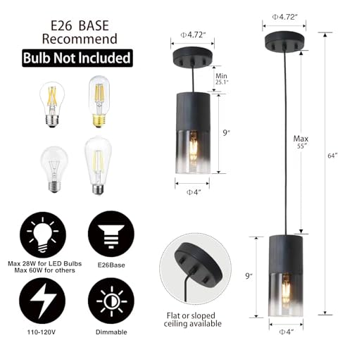 2 Pack Black Pendant Light Fixtures (2 Count)