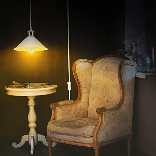 White Plug in Pendant Light