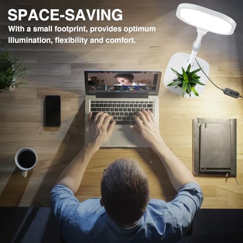 Video Conference Lighting for Zoom with Stand
