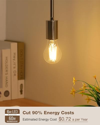 A19 Soft White Edison Bulbs (6 Count)