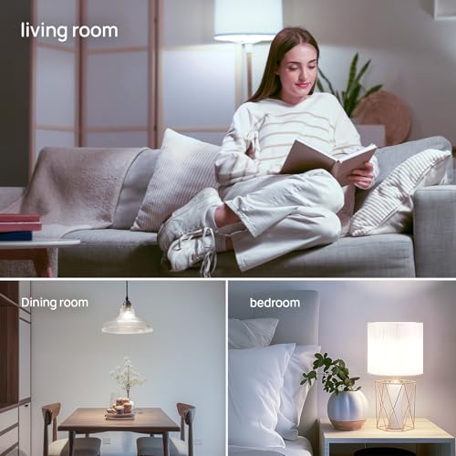A19 LED Light Bulb (5 Count)