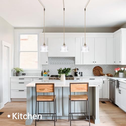 Plug in Pendant Light Hanging Light Fixtures with Plugin Cord On