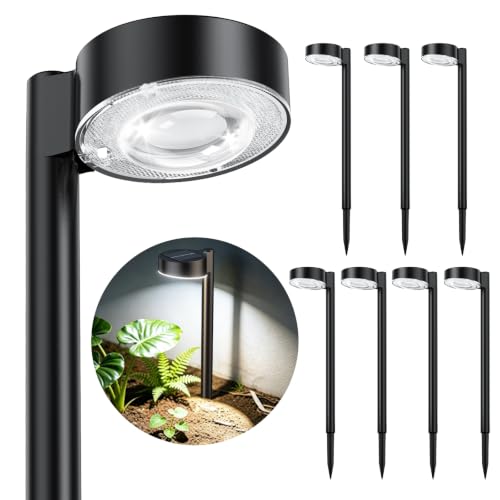 8 Pack Solar Pathway Lights Outdoor (8 Count)