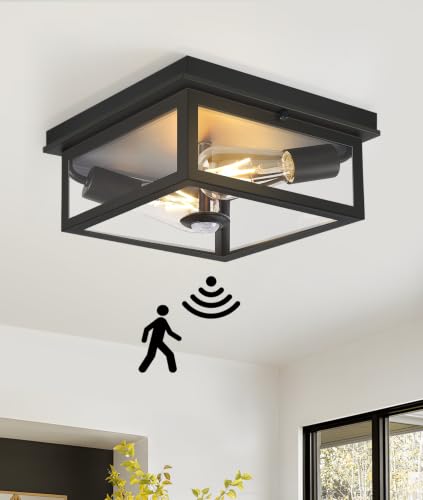 Motion Sensor Outdoor Ceiling Light with Remote