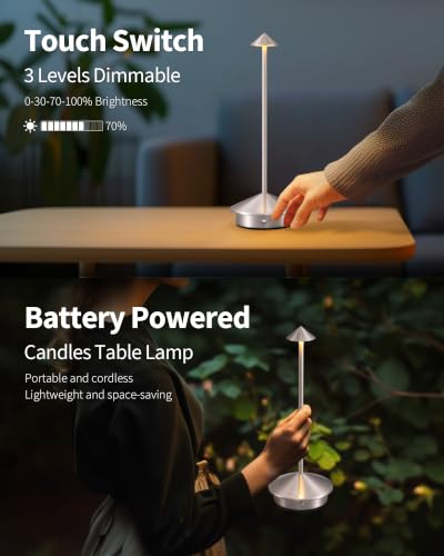 Modern Cordless Table Lamp Set of 2 (2 Count)