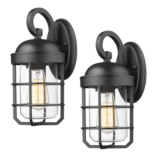 Outdoor Wall Light Fixtures for House (2 Count)