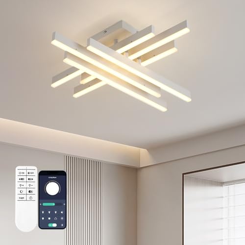 Modern LED Ceiling Light with Remote