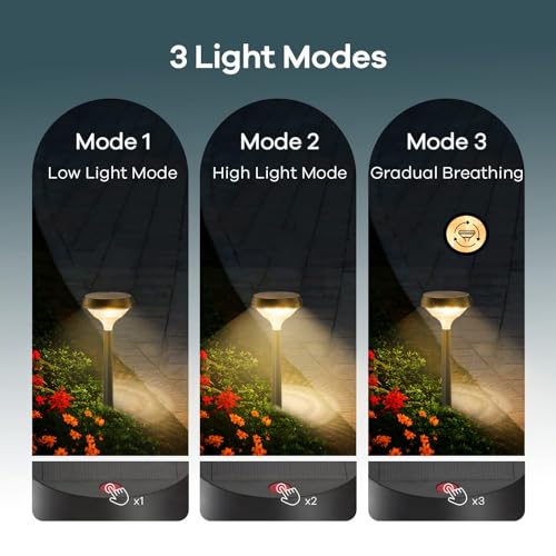 Solar Lights Outdoor 8 Pack (8 Count)