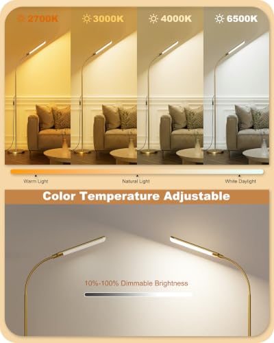 LED Floor Lamp (Gold)