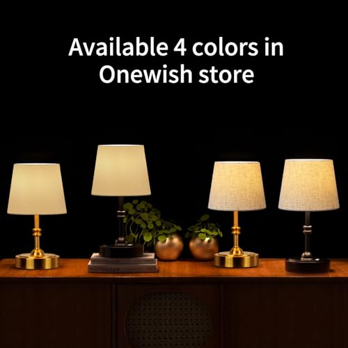 Small Cordless Lamp