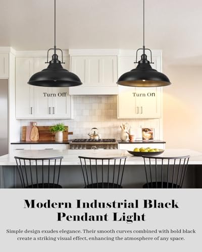 Black Pendant Light