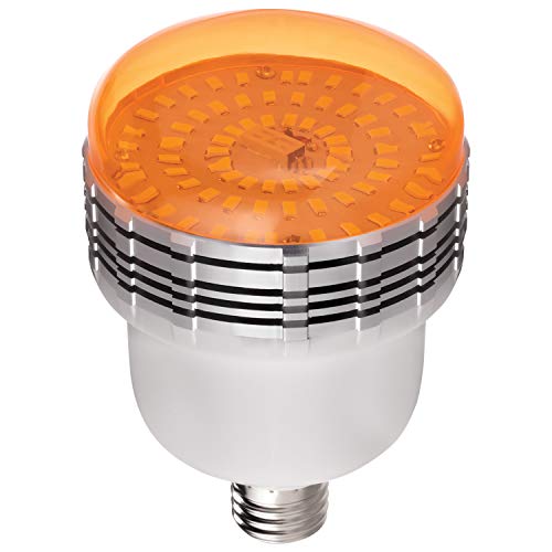 uLite LED 2 Light Umbrella Continuous Lighting Kit