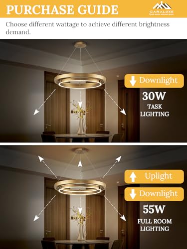 LED Ring Chandelier Brass Gold Chandeliers Dimmable