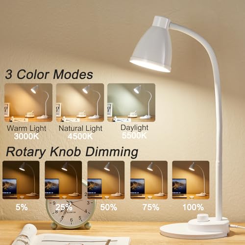 LED Desk Lamp with USB Charging Port