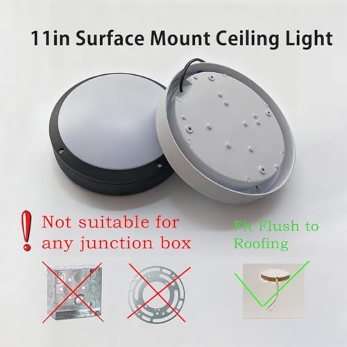 Flush Mount Ceiling Light