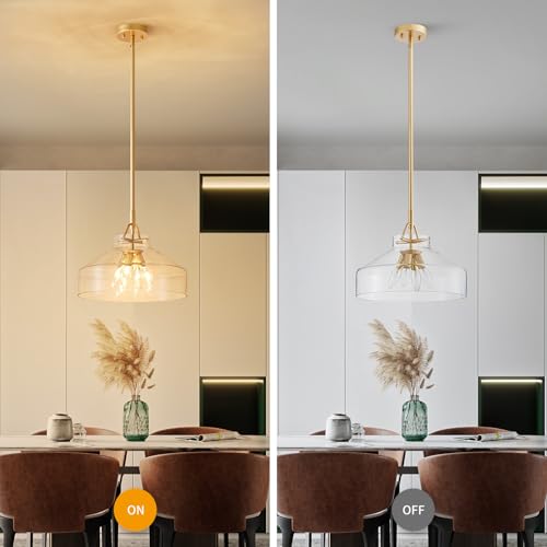 Chandelier Rustic Farmhouse Industrial Round Ceiling Pendant LED Light Fixture with Clear Glass Shades for Dining Room Kitchen Island Foyer Entryway