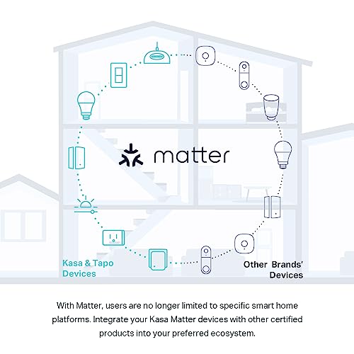 Kasa Matter Smart Light Switch