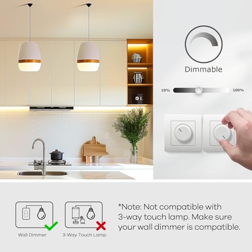 A19 LED Light Bulbs (6 Count)