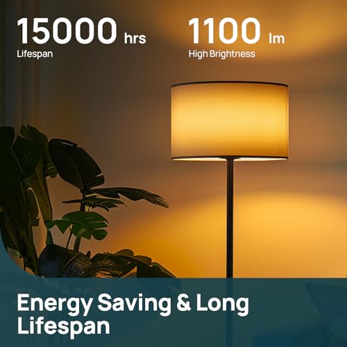 A19 LED Light Bulbs (6 Count)