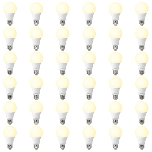 A19 LED Light Bulbs (36 Count)