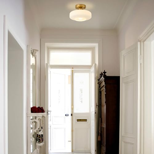 Modern Ceiling Light