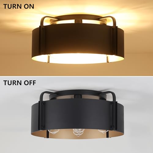 Flush Mount Ceiling Light