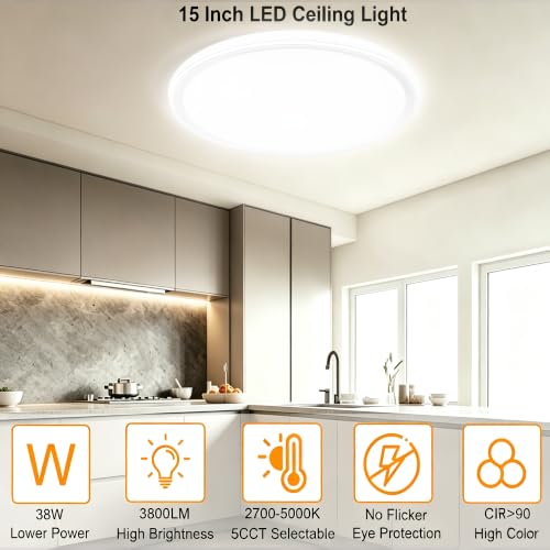 15 Inch LED Flush Mount Ceiling Light (White)
