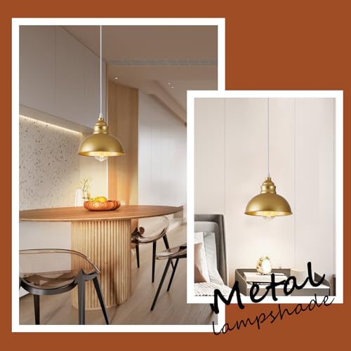 Plug in Pendant Light