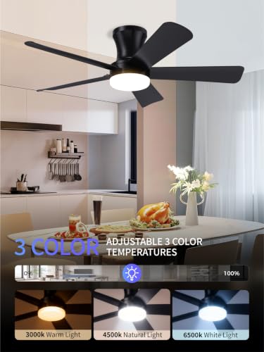42 Inch Black Low Profile Ceiling Fan with Light and Remote (Black / 42 Inch)