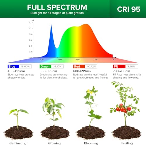 LED Grow Lights for Indoor Plants