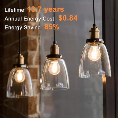 A19 LED Edison Light Bulb (6 Count)